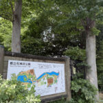 ②石神井公園内を通ってふるさと文化館へ。公園内は緑に包まれ、体感温度が2~3度低く感じられます
