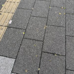 ④昨夜までの雨で路面が濡れています。葉が張り付いて難儀しました