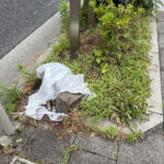 ⑥これは何だろう。重たいゾ