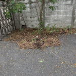 ⑩と思いながらも、日ごろ地域を守っていただいている感謝の気持ちを込めて