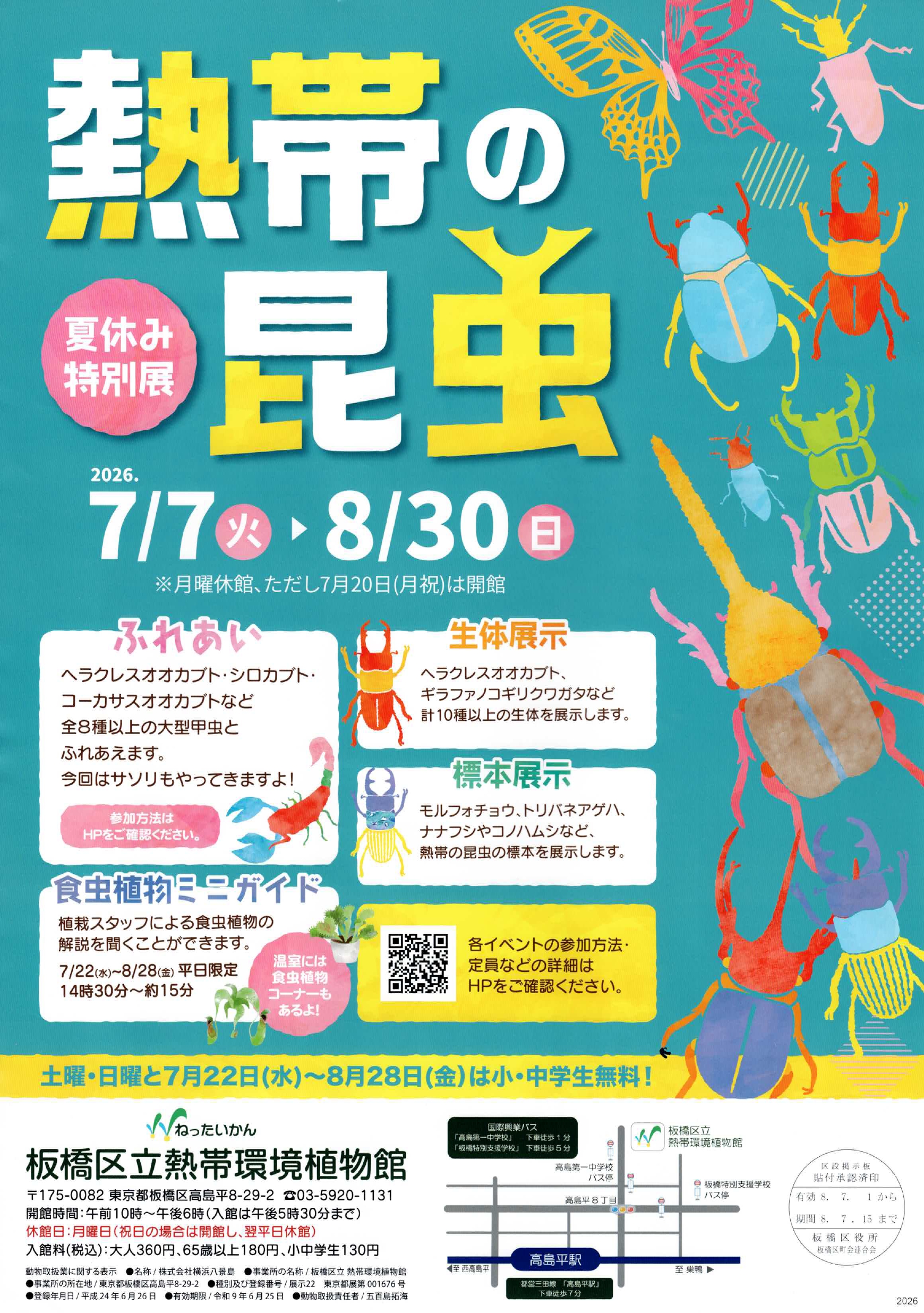 （掲示板）熱帯の昆虫